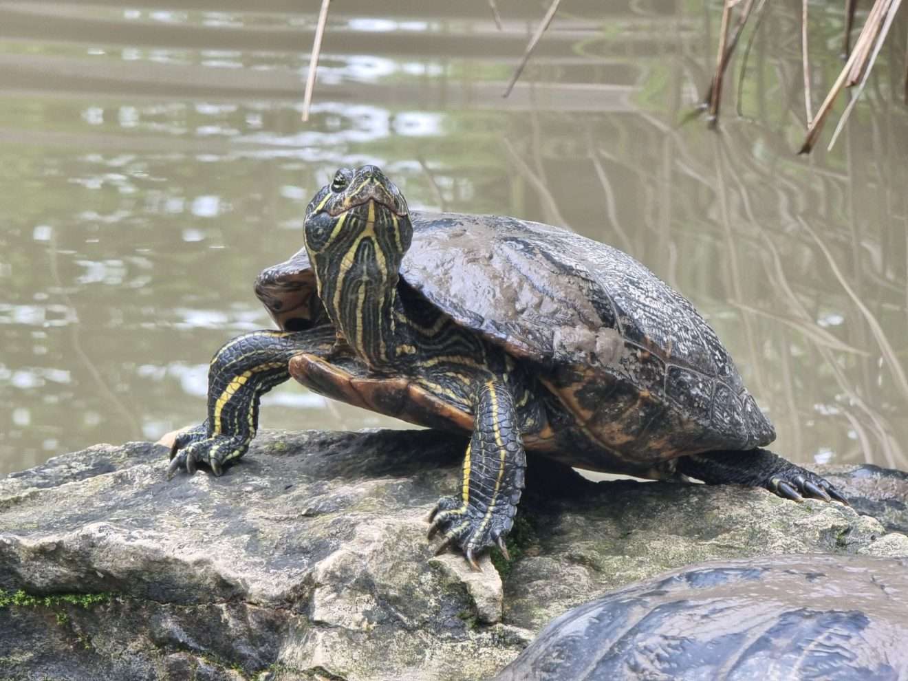 Ausflug in den Tierpark Nymphaea